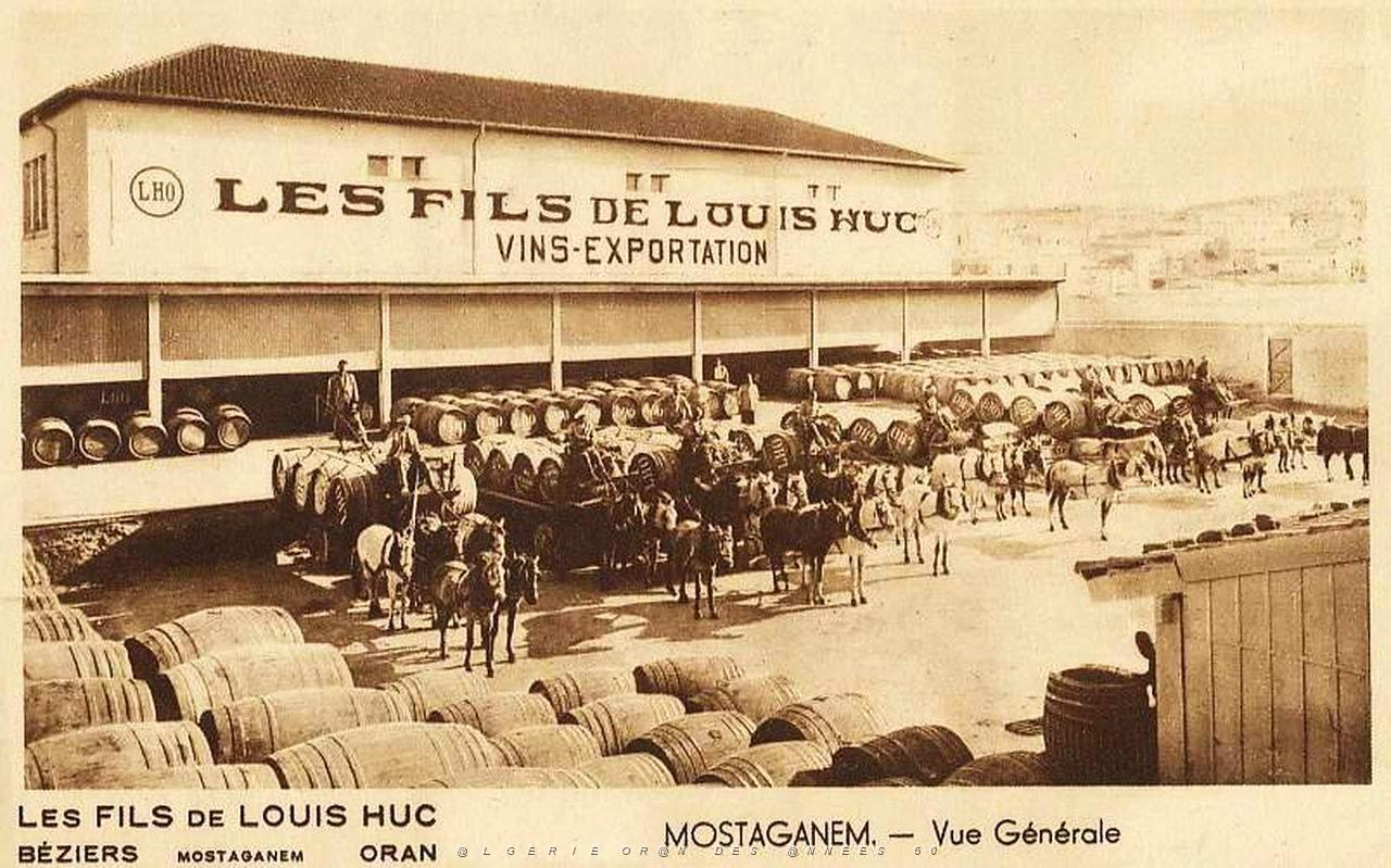 Mostaganem 515.jpg